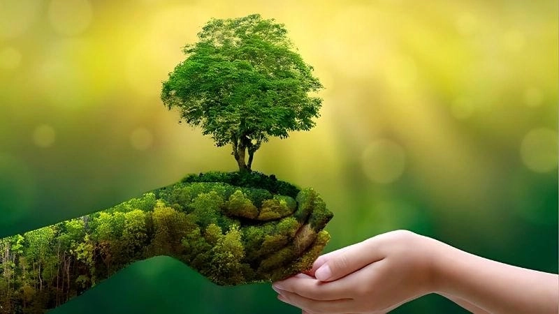 Lợi ích khi thực hiện công bằng môi trường