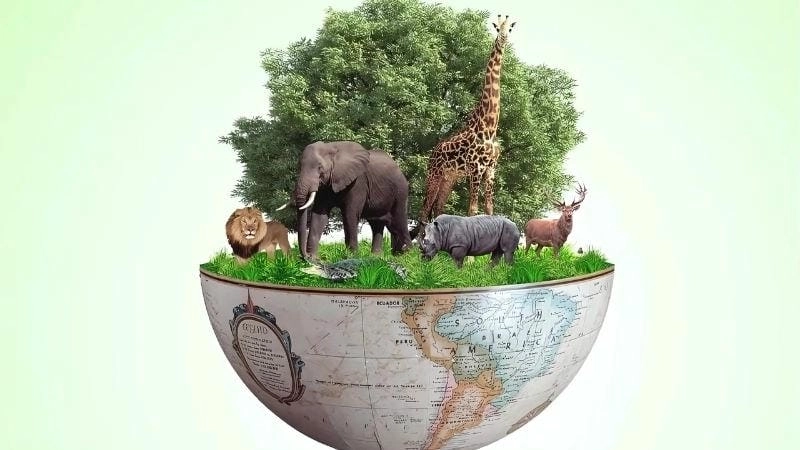 Những lợi ích quan trọng mà sự đa dạng mang lại