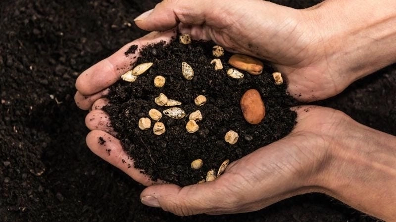 Thách thức từ ô nhiễm và biến đổi môi trường