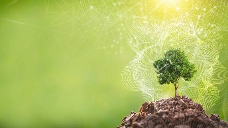 Chiến lược bảo vệ cân bằng tự nhiên trong tương lai