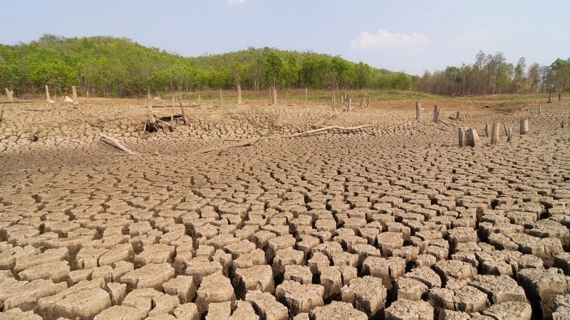 Nguyên nhân phổ biến gây nên thoái hóa đất