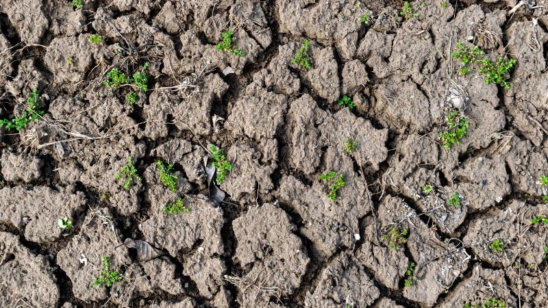 Biện pháp phòng tránh thoái hóa đất hiệu quả