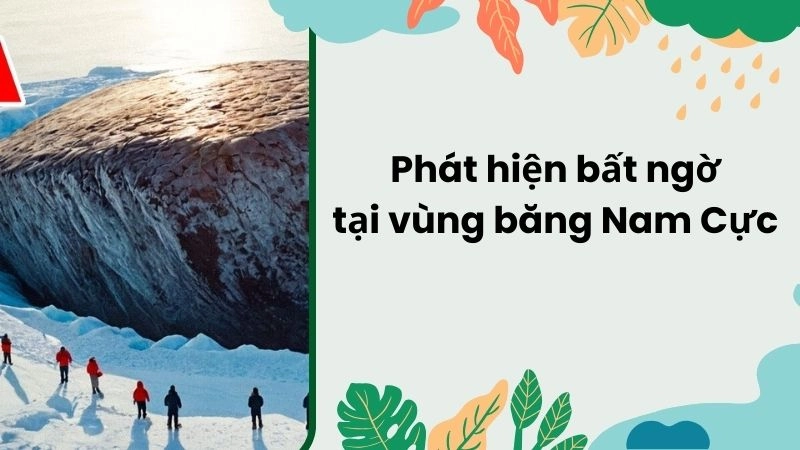 Phát hiện bất ngờ tại vùng băng Nam Cực